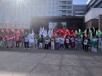 Trabajadores del SNS reclaman un “Estatuto Marco para avanzar”